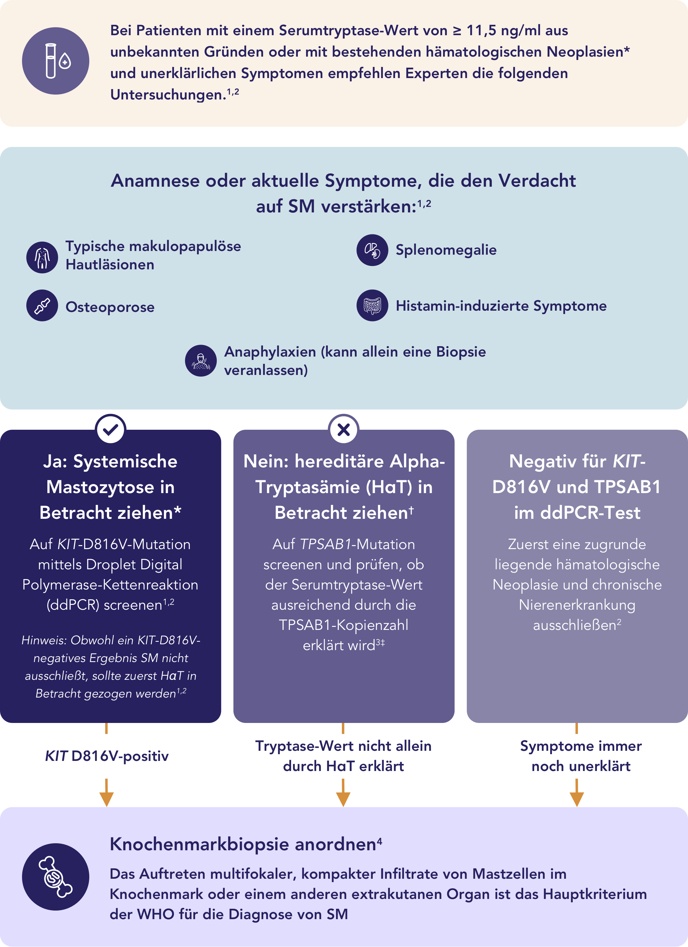 Zusammenfassung des Untersuchungsablaufs bei Erwachsenen mit Verdacht auf systemische Mastozytose