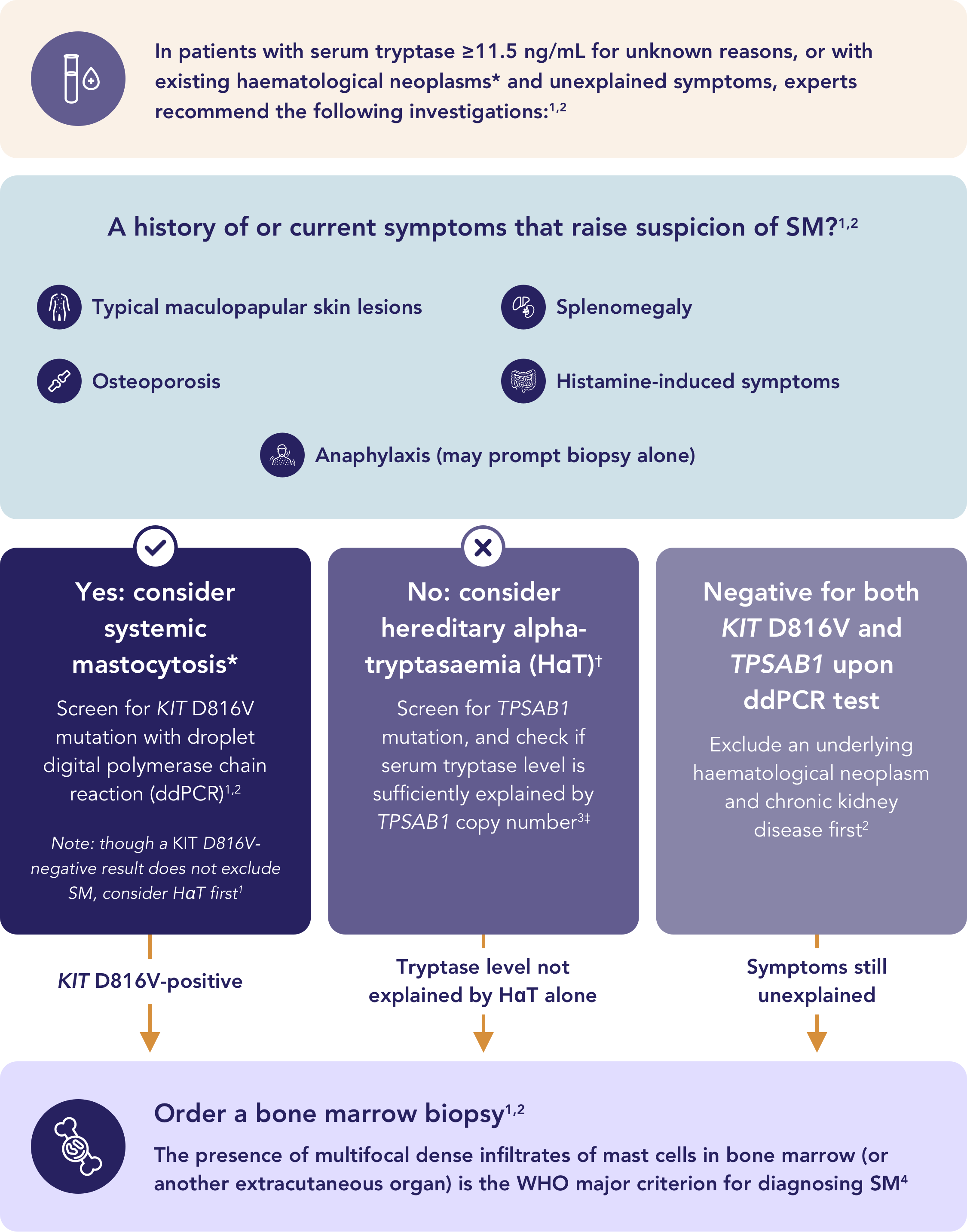 Summary pathway for investigating adults with suspected systemic mastocytosis