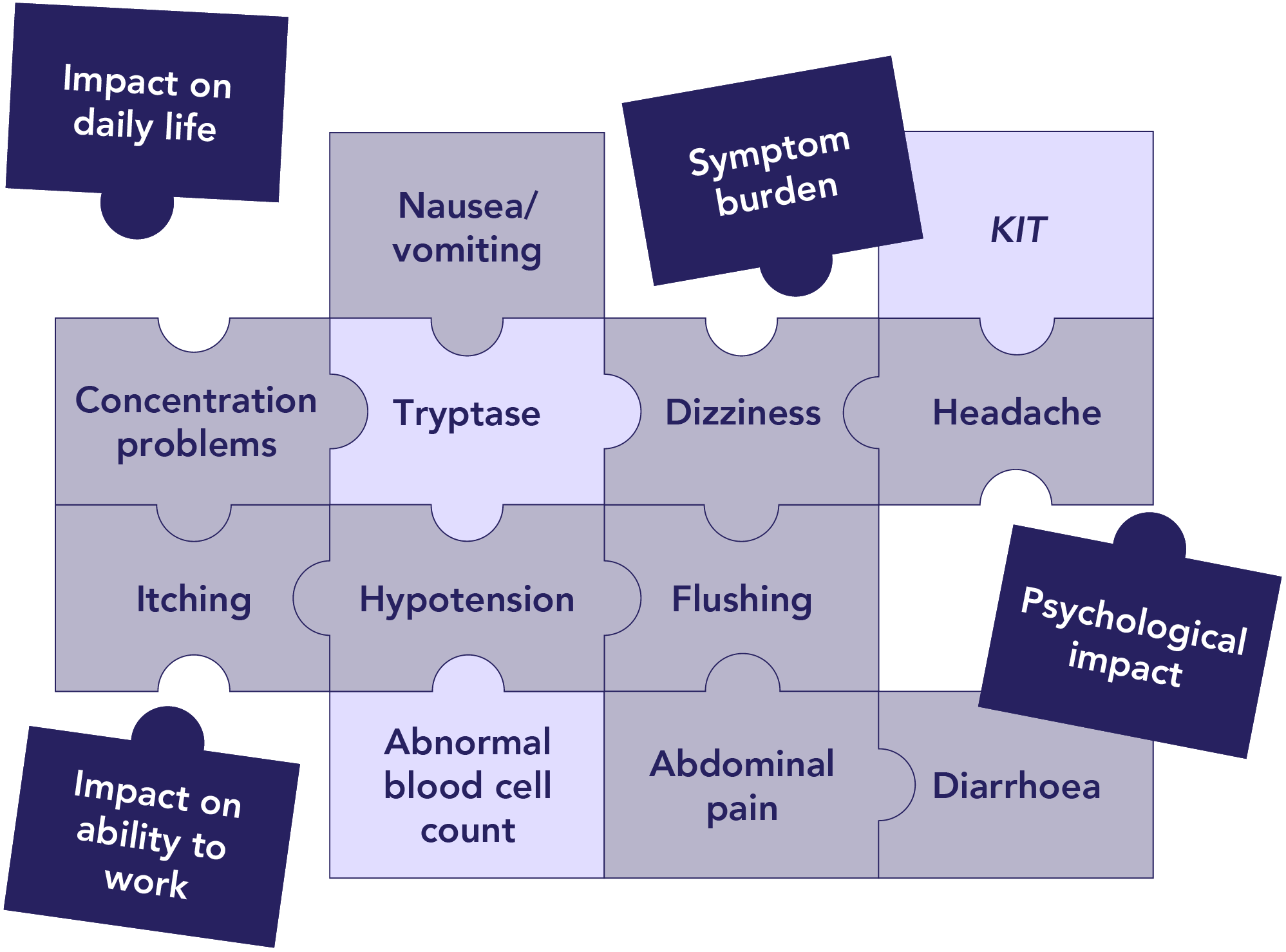 SM symptoms and impacts puzzle visualization